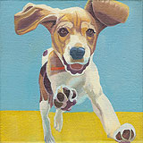 Beagle Puppy