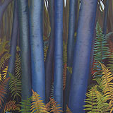 Blue Tree Ferns