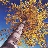 Tree#2