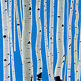 Birches - Blue