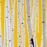 Birches - Yellow